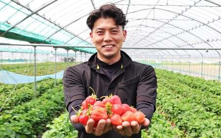 渡邉農園の冷凍あまおう1kg（1袋） 冷凍 いちご イチゴ フルーツ くだもの 福岡県産 【2025年9月上旬より順次発送予定】