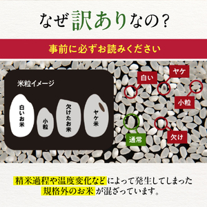 1-4 【年内配送12月15日入金まで】訳あり 北海道ブレンド米 2合(300g) 簡易包装 お試し within2025