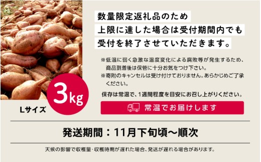 【先行予約】安納いも さつまいも 3kg （Lサイズ）【秀さん農園】種子島 焼きいも 焼き芋 本場 安納芋  さつま芋 甘い ねっとり スイーツ おやつ グルメ お取り寄せ おせち 人気 種子島産 返礼品 南種子町 鹿児島 かごしま 【観光物産館トンミー市場】