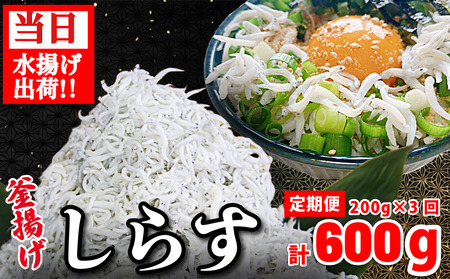 しらす 釜揚げ 定期便 計600g (200g × 3回) しらす