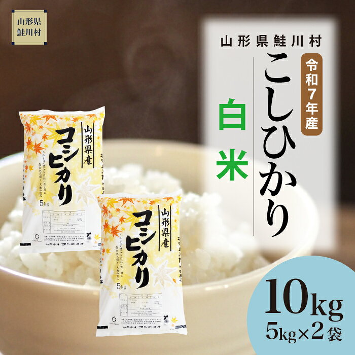 【ふるさと納税】＜令和7年産米＞ 鮭川村 コシヒカリ 【白米】 10kg （5kg×2袋）＜配送時期選べます＞