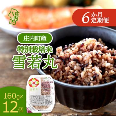 ふるさと納税 庄内町 【定期便】雪若丸 玄米 パックごはん 160g×12個×6ヶ月 有機黒米入り【9月中旬発送】