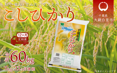 ＜12ヶ月定期便＞千葉県産「コシヒカリ」5kg×12ヶ月連続 計60kg A033