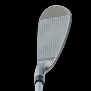 Rex&Regina FORGED IRON GW Fujikura MCI50 フレックスR