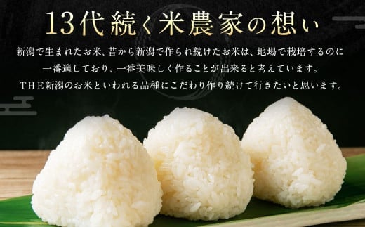 【令和5年産】ゆきん子舞 白米 5kg 新潟県岩船産 食味鑑定士謹製 一等米 新耕農産 農家直送 低温倉庫保管 あっさり しっかり食感 新潟県のみ栽培 1039015