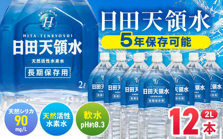 日田天領水 長期保存用 2L×6本×2箱 天然水 備蓄 防災 ミネラルウォーター シリカ[AREG032]