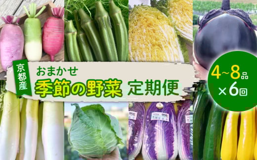 【定期便6回】 野菜 セット ４～8種 詰め合わせ 京都 西村農園 久御山町 おまかせ 旬 旬野菜 なす ピーマン キャベツ かぶ とうもろこし 大根 カリフラワー ブロッコリー