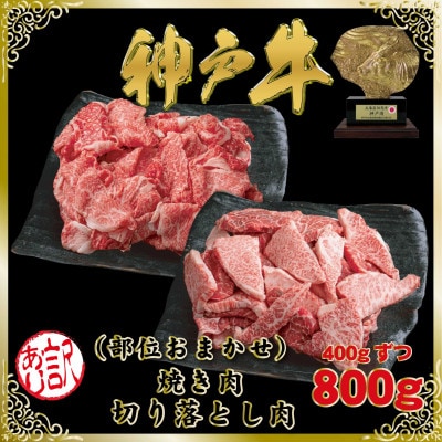 訳あり 神戸牛 切り落とし肉&焼肉用(部位おまかせ)計800g SOSY2【2026年4月より発送】【配送不可地域：離島】【1686972】