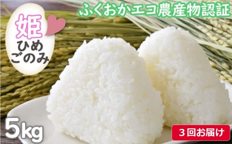 
定期便 3ヶ月 お米 小郡産米 姫ごのみ 5kg×3回 令和5年産 上旬配送 米 3回 お楽しみ
