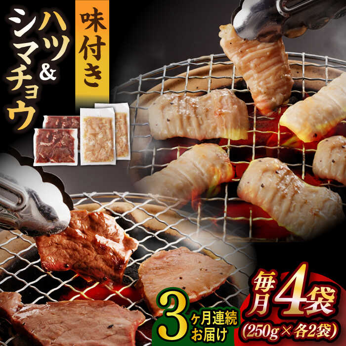 【ふるさと納税】【全3回定期便】【塩だれ】九州産和牛 ホルモン2種 計1kg（ ハツ 250g×2袋・ シマチョウ 250g×2袋） 長与町/岩永ホルモン [EAX135] 国産肉 ホルモン ミックス 小分け 味付き 冷凍 焼肉 焼き肉 和牛