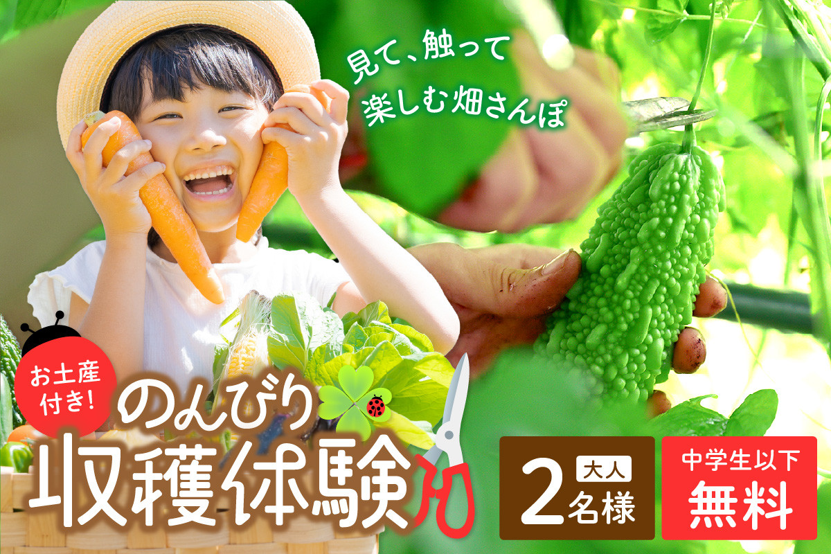 
                  京都のオーガニックファームでのんびり過ごそう！収穫体験&お土産付き(2名様分)　体験 体験チケット チケット 収穫体験 ペアチケット 京都 京丹後 農業 農家 オーガニック てんとうむしばたけ 大自然 自然体験 旬の野菜 ピクニック 有機野菜 体験型返礼品　BR00017
                