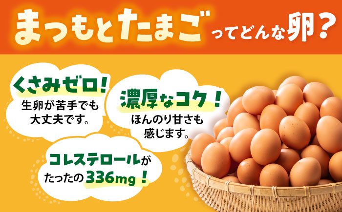まつもとたまご Lサイズ 赤玉 60個 長崎県産 西海市 たまご 卵 玉子 タマゴ 鶏卵 オムレツ 卵かけご飯 朝食 料理 人気 卵焼き ＜松本養鶏場＞[CCD005]