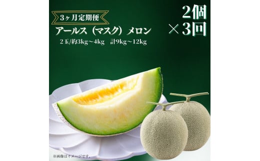 【3ヶ月定期便】アールスメロン（マスクメロン）2個入り（約3kg～6kg）×3回