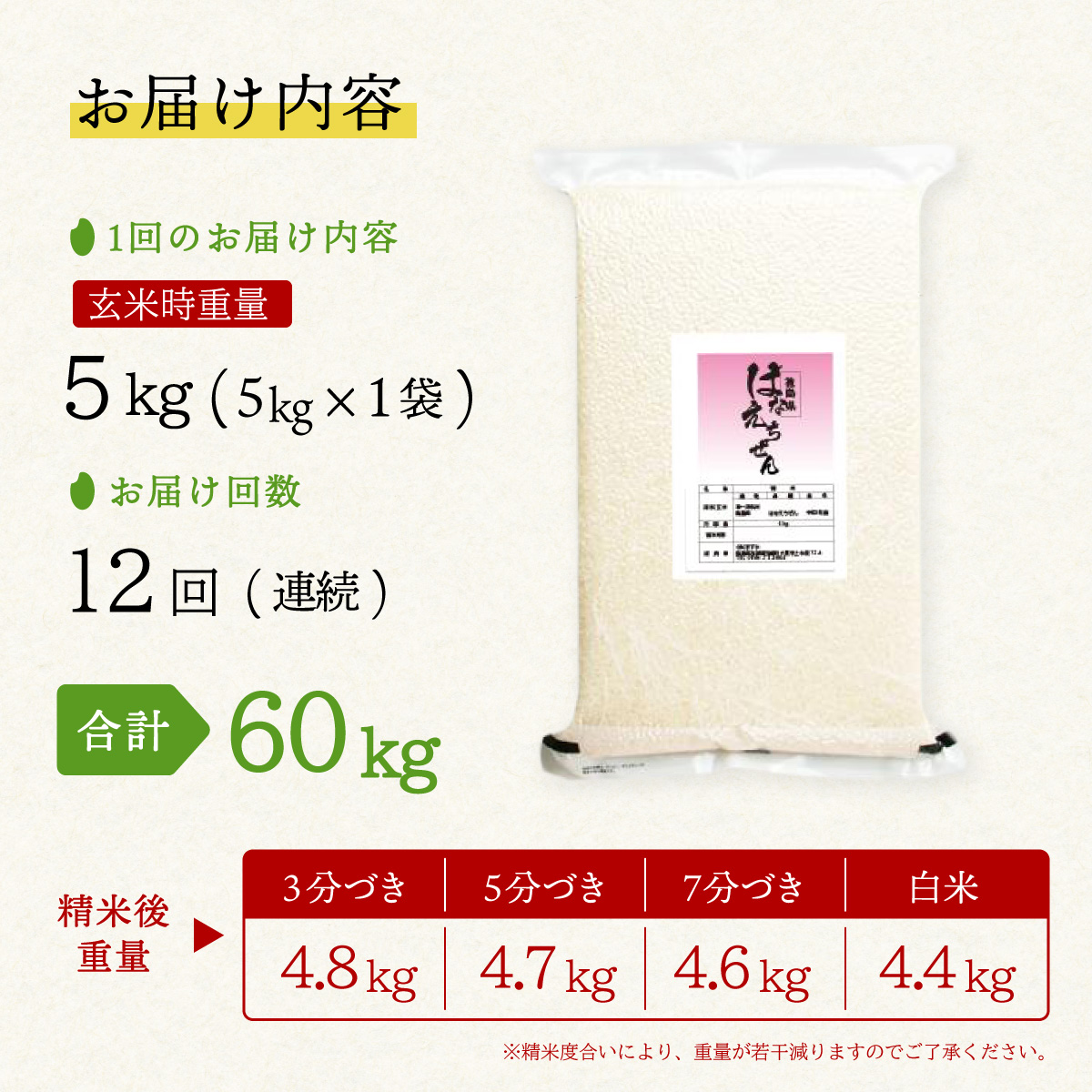 【先行予約】はなえちぜん 白米 5kg×12回 12ヶ月連続 定期便 60kg 真空パック ハナエチゼン 米 簡易梱包 エコ梱包【８月下旬以降順次お届け】