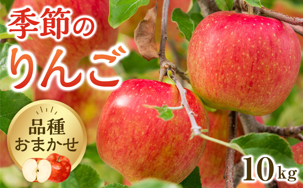 【品種はおまかせ】季節のりんご 10kg箱 ※2026年10月上旬～10月下旬頃に順次発送予定 313726_AG001