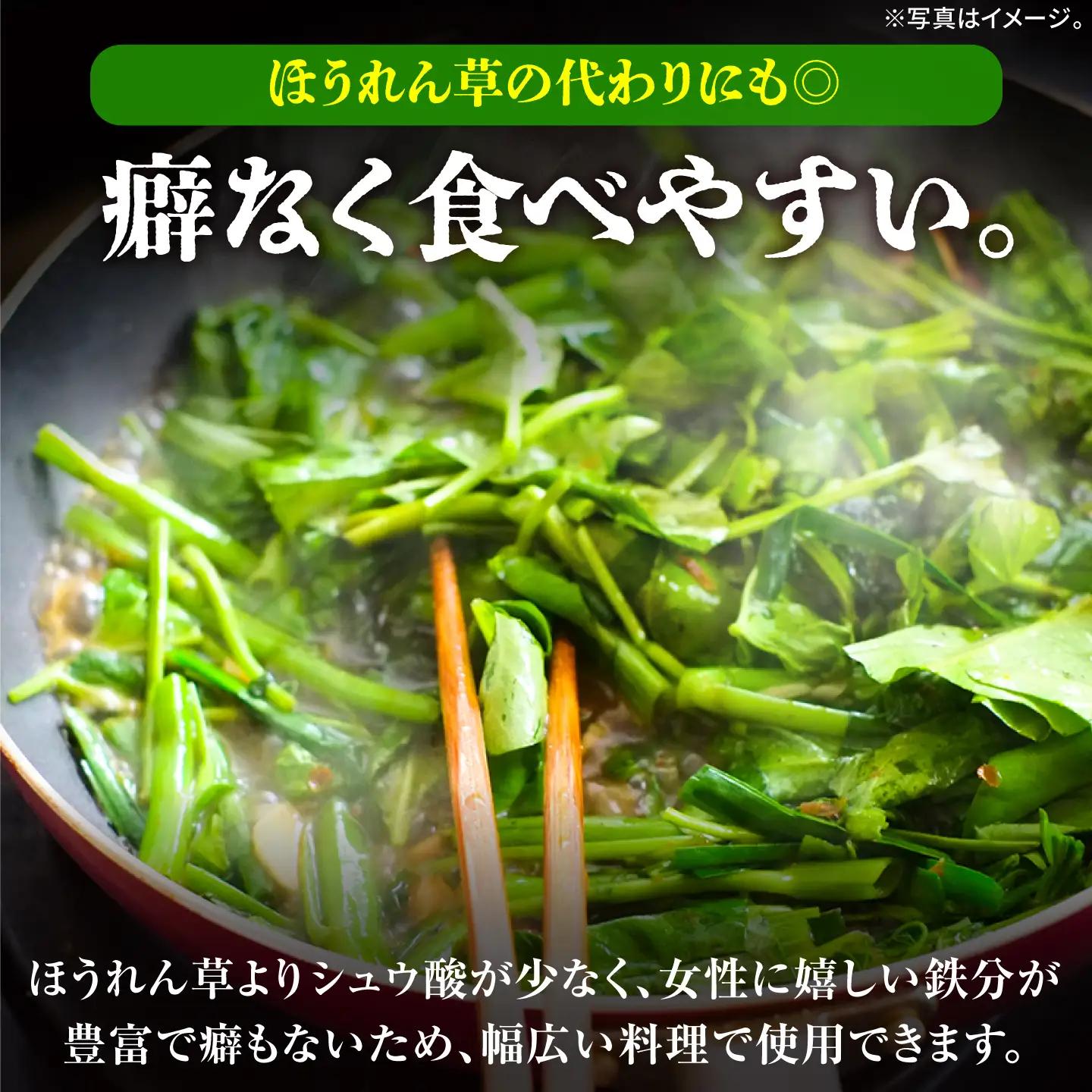 【12回定期便】新鮮朝採れ くうしん菜 10袋(計120袋) / 新鮮 野菜 葉物野菜 水耕栽培 産地直送 サラダ エンサイ ヨウサイ 国産 小分け 詰め合わせ まとめ買い 料理 / 亀山市 / グリ