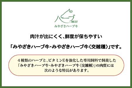 ＜みやざきハーブ牛 手ごねハンバーグ「生」（140g×10個）＞翌月末迄に順次出荷【c458_fw_x4】