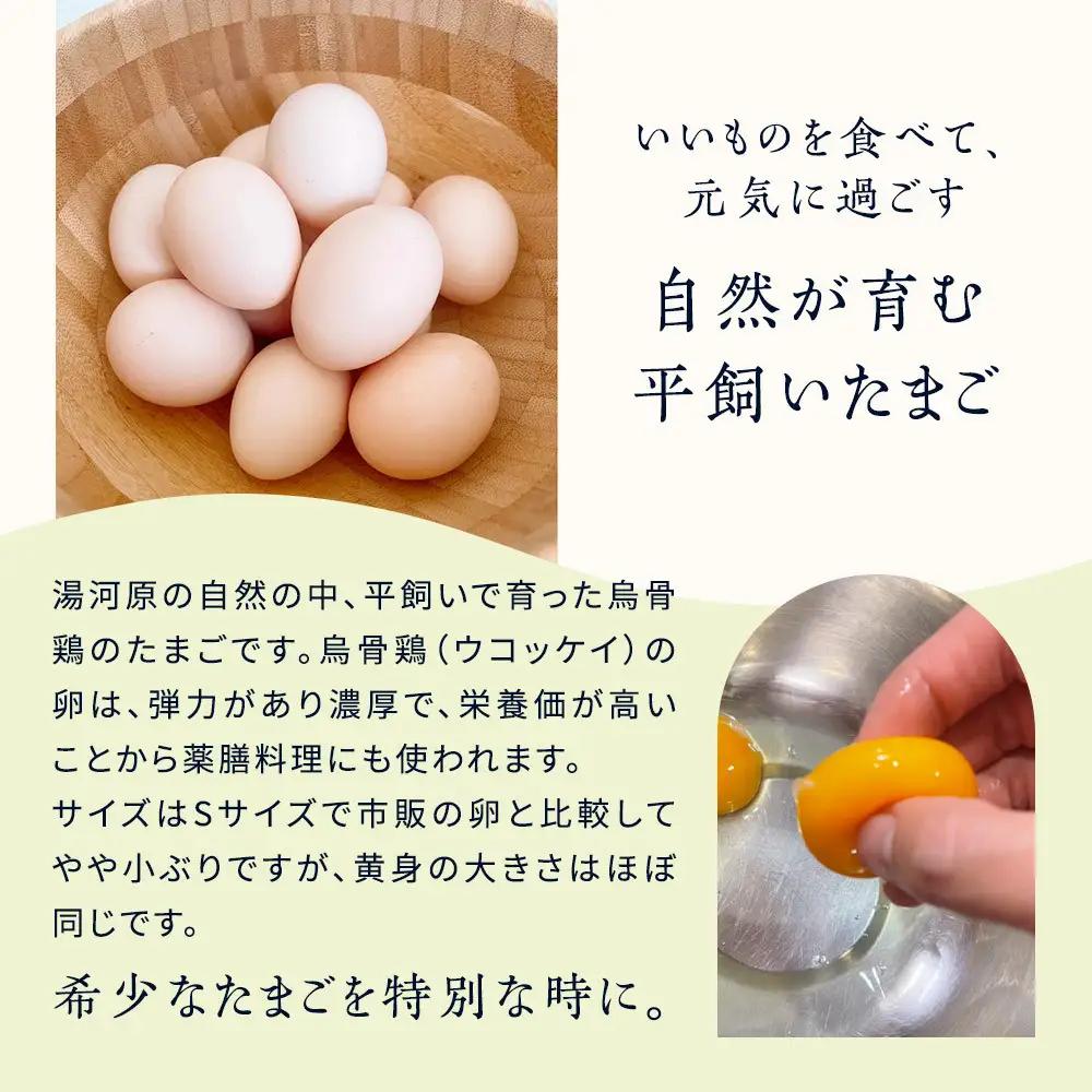 平飼い烏骨鶏のたまご12個 | 湯河原町 ミックスファーム 烏骨鶏 こだわり飼育 朝食