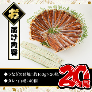 鹿児島県産 うなぎ蒲焼 特大 20尾セット 鰻蒲焼 計約3.2kg(約160g×20尾) タレ・山椒付き 鰻 ウナギ 国産【おおさき町鰻加工組合】E13