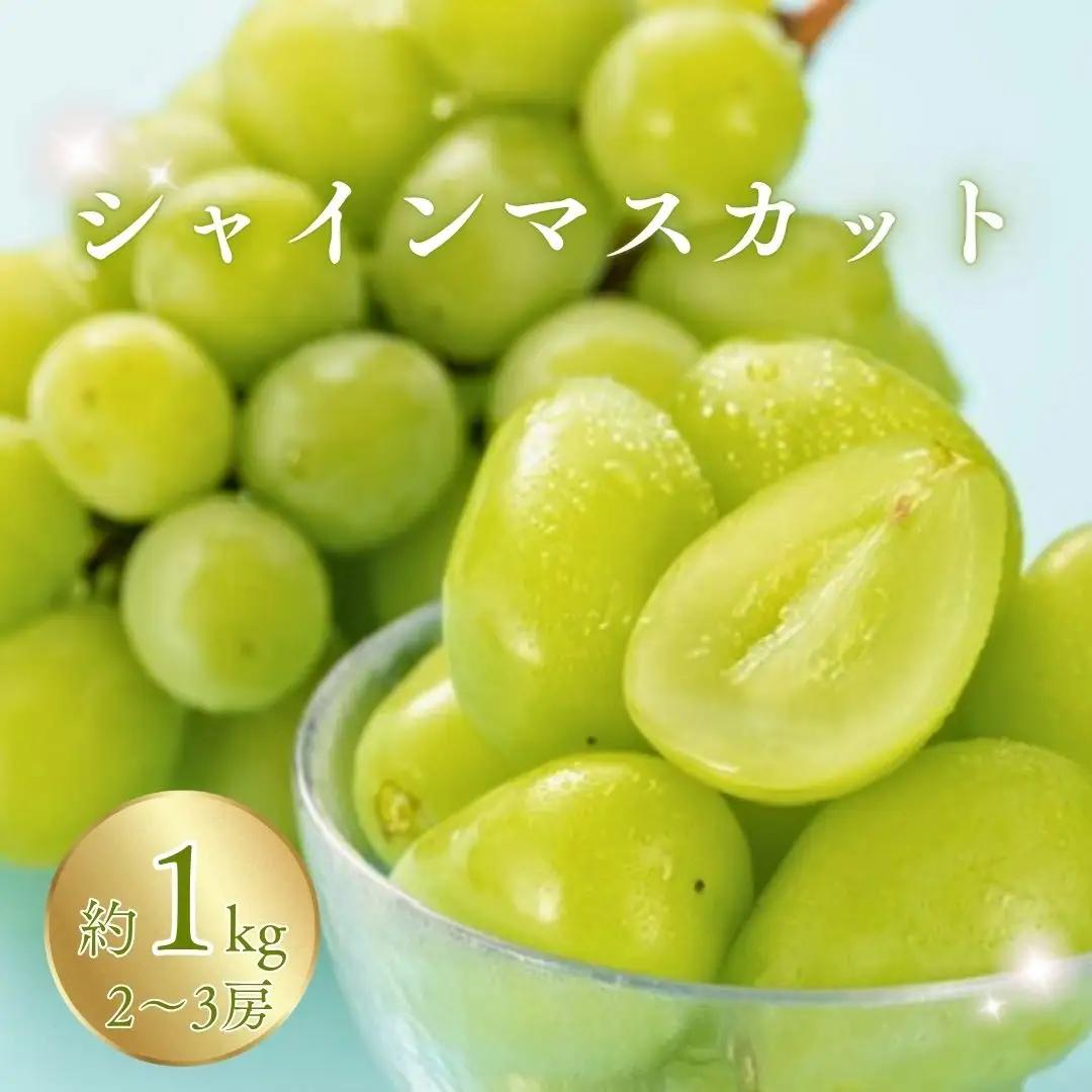 【2026年先行予約】シャインマスカット 約1kg（2~3房）※最低900g以上 |シャインマスカット