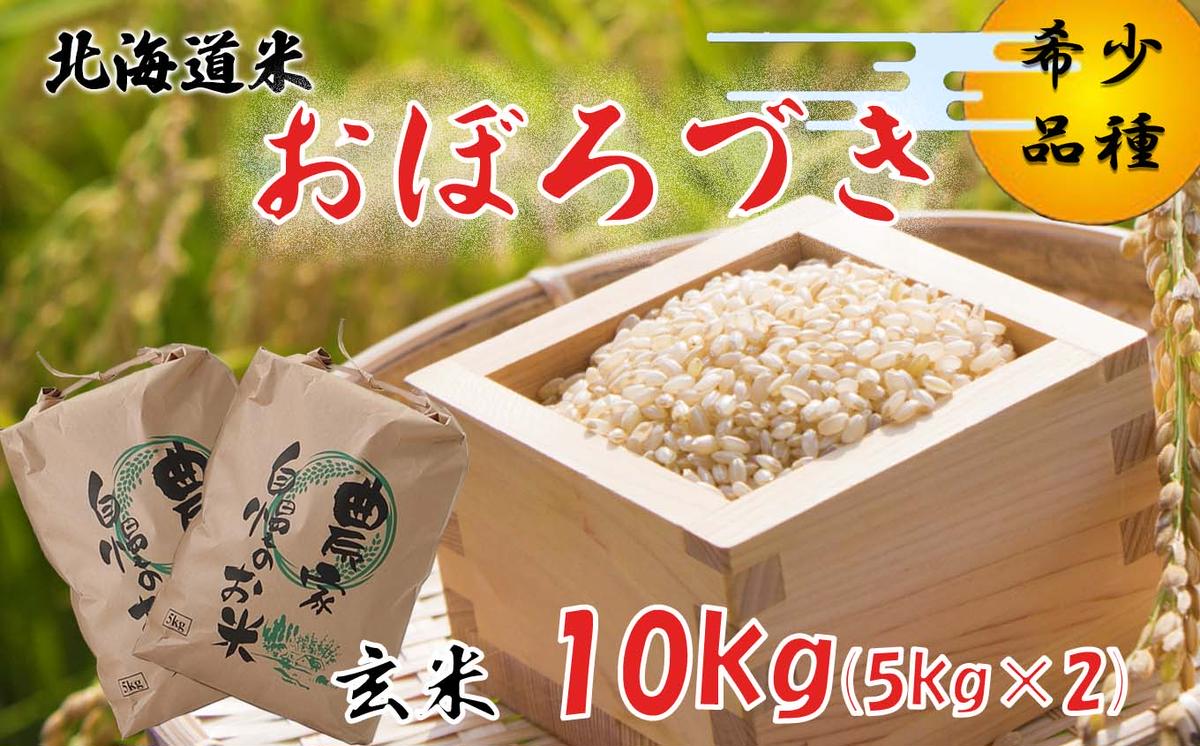 ＜ 10月中旬から順次発送 ＞ 新米 令和7年度産 北海道米 おぼろづき 玄米 10kg (5kg×2) 北海道 新ひだか町 ＜ 予約受付 ＞