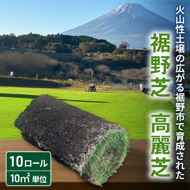 【ふるさと納税】ガーデニング 裾野芝 10ロール 10m2 高麗芝 芝生 DIY 庭 天然 天然芝 植え方 用途 芝生の栽培 高麗芝の特徴 静岡県 裾野市