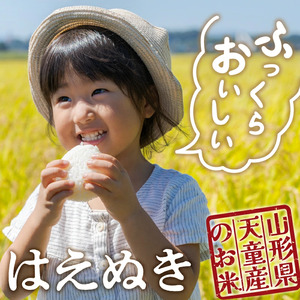 【2026年3月中旬発送】令和7年産 はえぬき 5kg 米 精米 山形 天童 07-01-191-03B