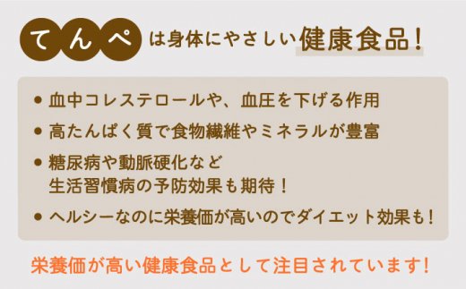 【身体にやさしい発酵食品！】テンペ詰め合わせ（テンペ150g×3袋/テンペ味噌800g×1袋）【しろいし特産物直売所】 [IAI005]