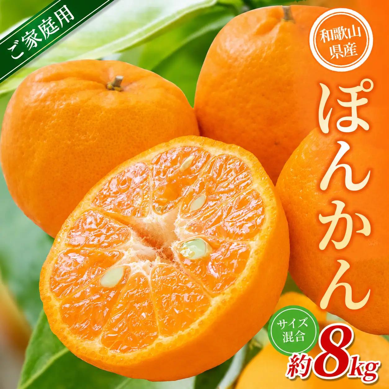 【家庭用】 森本農園の手選別 ポンカン 約8kg 和歌山県産 サイズ混合 【北海道・沖縄・離島配送不可】【2027年1月上旬～2月上旬頃に順次発送】【BV-mrmt044】