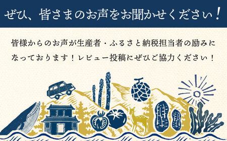 長崎角煮まんじゅう 12個 [DBG009] 角煮まんじゅう 小値賀町