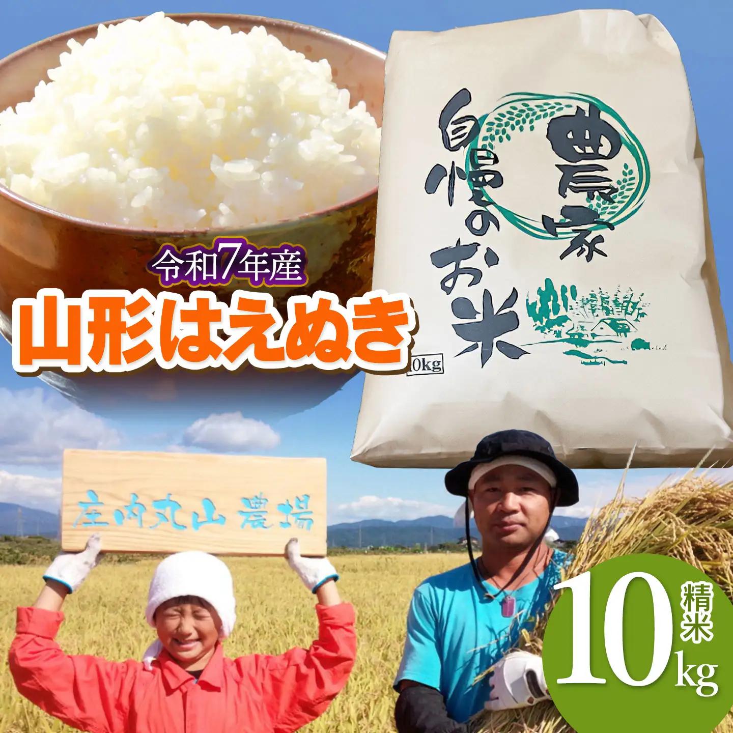 【令和7年産】はえぬき 精米 10kg (10kg×1袋)　山形県鶴岡市　庄内丸山農場　| 10キロ 米どころ 庄内米 ブランド米 米 コメ こめ 精米 ご飯 ごはん 美味しい お取り寄せ 農家直送 お弁当 おにぎり 東北 国産 おすすめ 人気 返礼品