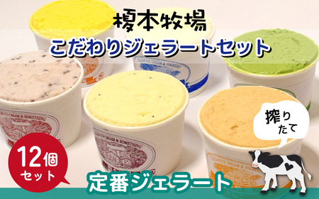 榎本牧場のこだわりジェラート 定番セット 12個 | 埼玉県 上尾市 アイス スイーツ ジェラート 