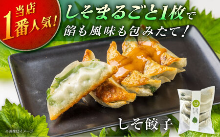餃子屋ヒロの3種食べ比べセット【餃子屋ヒロ】開成町 餃子　点心 惣菜 冷凍[BDAS002]