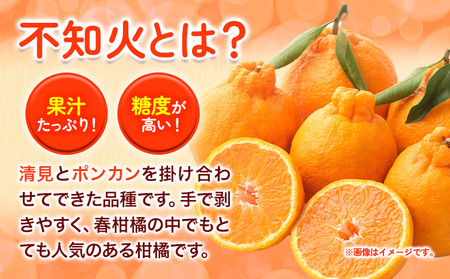 ＜先行予約＞秀品不知火（デコポンと同品種）12玉～24玉 約 4kg～5kg《2026年3月中旬-5月上旬頃出荷》竹本農園 和歌山県 日高川町 旬 新鮮 果物 柑橘 フルーツ 国産 デコポン でこぽん