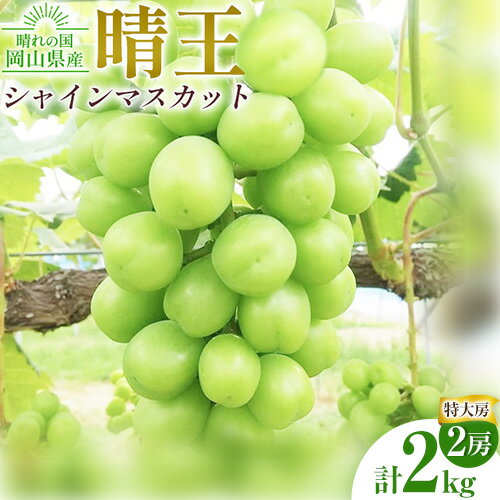 【ふるさと納税】ぶどう シャインマスカット晴王【特大房】計2kg 約1kg×2房 橋田商店有限会社《9月上旬-11月中旬頃出荷》 岡山県 浅口市 岡山県産 ぶどう フルーツ 果物 くだもの マスカット 送料無料【配送不可地域あり】