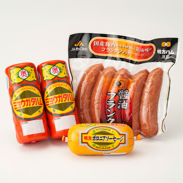 【ふるさと納税】明方ハム Bセット│ハム ソーセージ 詰め合せ 豚肉 肉 惣菜 おかず 弁当 おつまみ ステーキ フランクフルト セット 詰合せ 食べ比べ 国産豚肉 プレスハム 冷蔵 精肉 肉加工品 加工品 岐阜県 川辺町 (B-4/L-4)