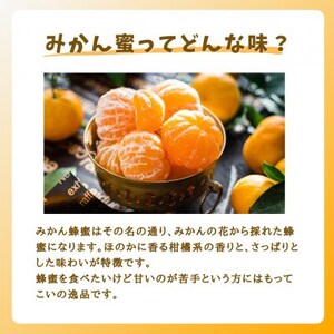 みつばちの雫　国産みかん蜂蜜　300g×2_調味料 はちみつ  ハチミツ 蜂蜜_【1481076】