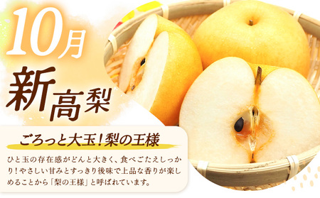 【3ヶ月定期便】梨 定期便 秀品 3ヶ月連続 梨の定期便 ミニ 計5.4kg 日本フルーツ株式会社《8月上旬-10月末頃出荷》熊本県 長洲町 なし ナシ 豊水梨 秋月梨 新高梨 果物 フルーツ