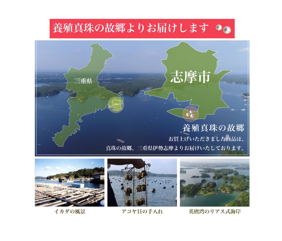 老舗の真珠専門店・花珠クラス・アコヤ本真珠スルーペンダント8.5-9.0ミリ（K18） / あこや真珠 ペンダント 真珠 伊勢志摩 志摩 三重県 アクセサリー ギフト プレゼント パール 母の日 〔1