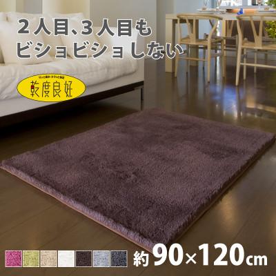 ふるさと納税 海南市 乾度良好 Dナチュレ バスマット 約90×120cm ブラウン 吸水速乾 裏面すべり止め加工