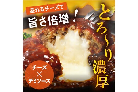 鉄板焼きハンバーグ(2種16個)＆はかた地どり炭火焼(1kg小分け)セット【C-141】牛スープ デミソース ハンバーグ ナチュラルチーズ 湯煎