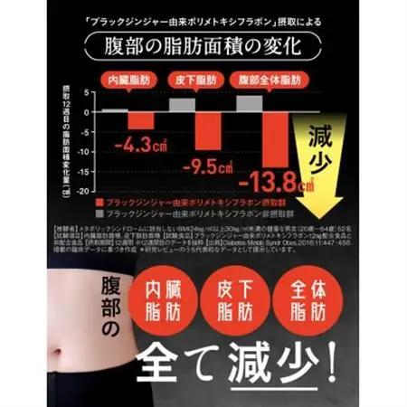 サプリメント 機能性表示食品 Slamee スラミー お腹の脂肪と皮下脂肪を減らす 6袋(6ヶ月分)【1495308】