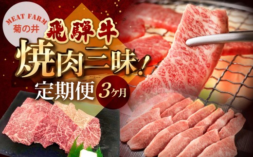 【定期便 3回】飛騨牛焼肉三昧！3ヶ月 連続定期便（2～3人前）菊の井 牛肉 牛 飛騨 ブランド牛 国産 イチボ もも モモ カルビ 焼き肉 やきにく 赤身 霜降り 高級 食べ比べ【冷凍】