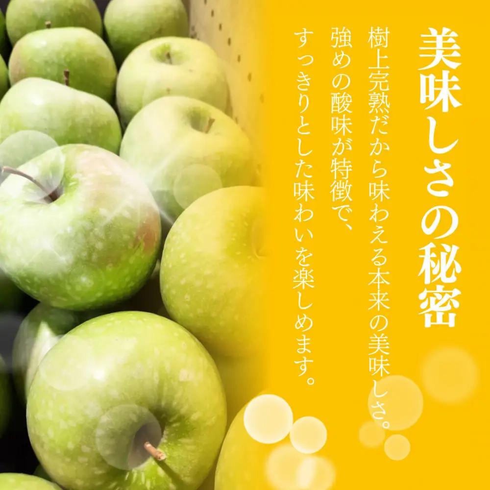 フルーツファーム中村農園　【10月下旬発送 先行予約】樹上熟成　グラニースミス 3kg | りんご グラニースミス 青りんご 加工用