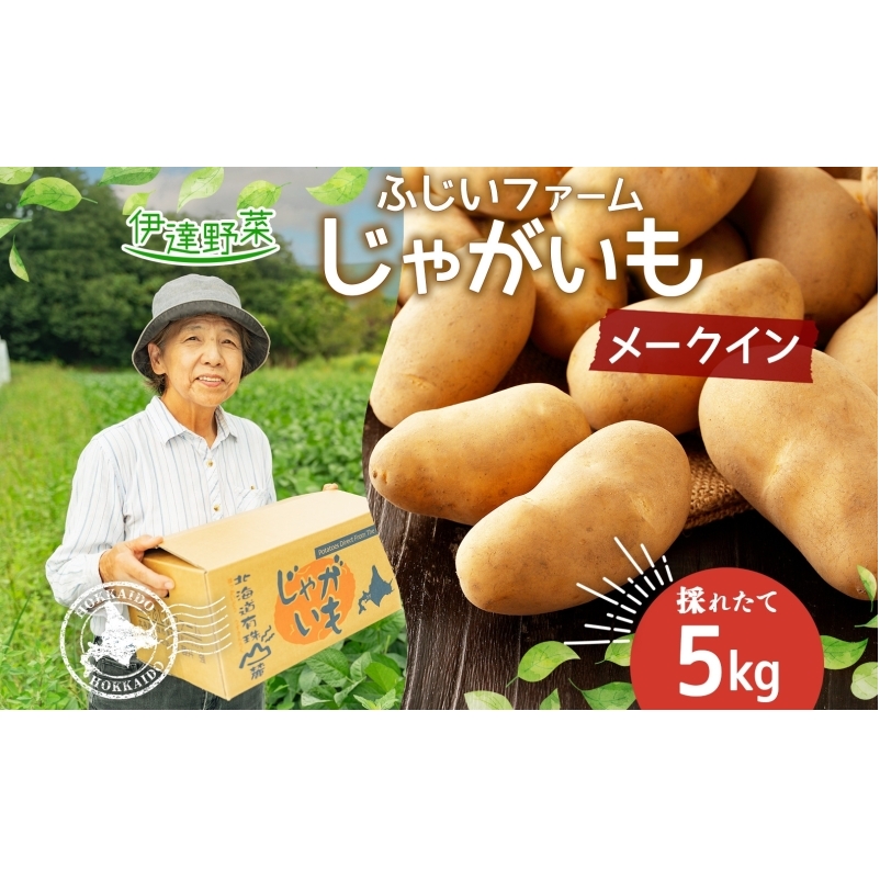 北海道産 じゃがいも メークイン 約5kg ジャガイモ 馬鈴薯 ポテト 芋 イモ 先行受付 産地直送 国産 野菜 農作物 甘い ホクホク しっとり 煮物 カレー 肉じゃが 人気 ふじいファーム  送料