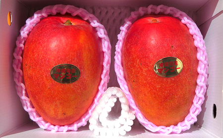 【2024年発送】久米島印商店 完熟マンゴー1kg&Ｎパイン2個