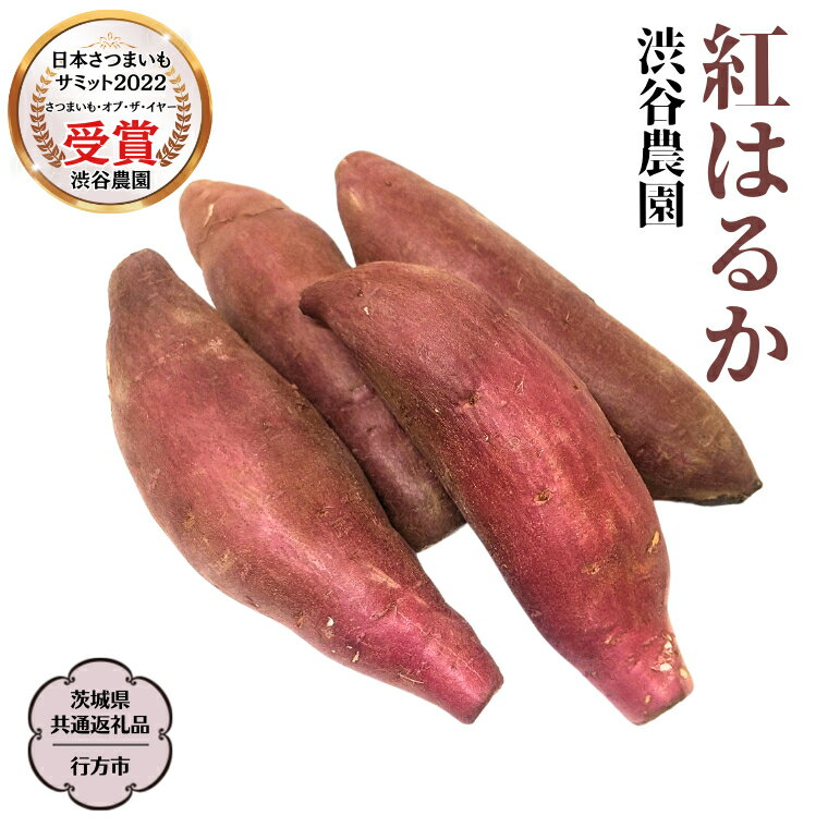 【ふるさと納税】 紅はるか 約5kg 約10kg【茨城県共通返礼品／行方市】 ＼選べる内容量／ 渋谷農園 さつまいも いも 芋 焼芋