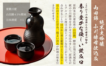 日本酒 武勇純米大吟醸 KAZE 720ml＆武勇純米大吟醸 山田錦小川酵母仕込み 720ml 2本セット 株式会社武勇《90日以内に出荷予定(土日祝除く)》お酒 酒 セット飲み比べ  アルコール 山