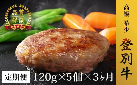 肉のあさひ 登別牛100％使用ハンバーグ 120g×5個[全3回お届け]　[na-0177]