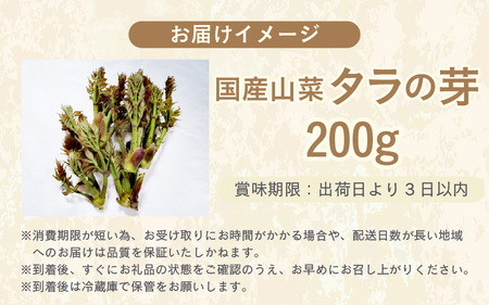 【先行予約】【季節限定】国産山菜 タラの芽 美浜町の春をお届け【2026年4月上旬以降順次発送予定】【旬 山菜 野菜 たらの芽 天ぷら 春野菜】 [m47-a021]